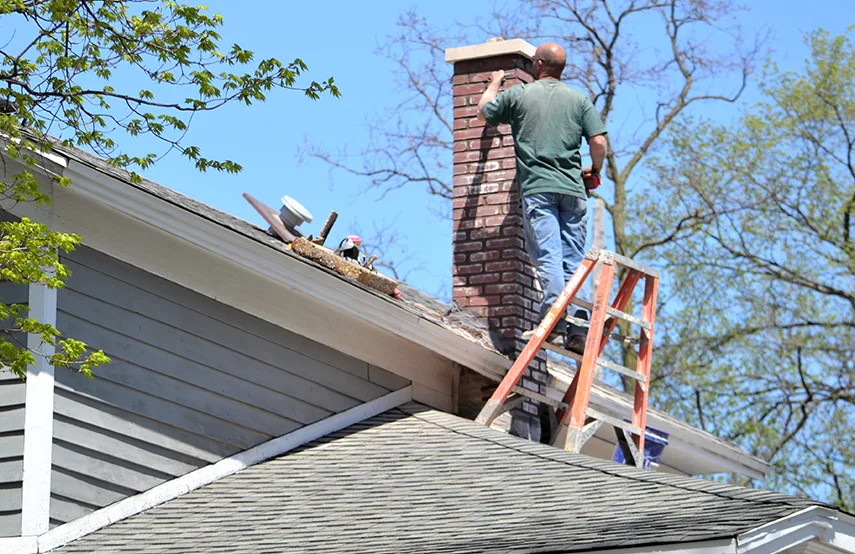 Chimney & Fireplace Inspections Services in Cave Spring, VA